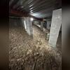 Cold, damp crawl space causing discomfort throughout the home.