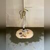 The SuperSump Plus takes all of the collected water and sends it out of the home through the discharge line.