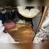 This home was in dire need of help from us! Standing water under a home can soften the soil which in turn, will make the home  settle and hold moisture in the wood.
