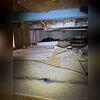 This crawl space was in need of an encapsulation.