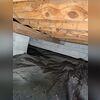Sodium Bicarbonate is a granular powder that is non-toxic, food grade, with no vapors or off&shy;gassing. It is blown with air at high pressure at the infected lumber. The mold is blown off without damaging the lumber, and falls to the floor. The mold is killed by the blasting action and the soda...
