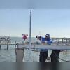 So we installed an Eagle Eye bird deterrent and bird spikes on top of the boat lift.