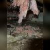 Moisture, mold and falling, failing insulation are problems in this crawl space, which hasn't been properly sealed.