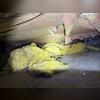 This homeowners insulation was falling, and moisture was getting trapped in the crawlspace.