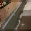 WaterGuard is installed along the perimeter of the basement floor and covered in fresh concrete to provide a seamless finished look. The WaterGuard Port is left visible to provide access to the system when needed.