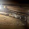 Exposed dirt floors and damaged insulation highlight the need for a full encapsulation system.