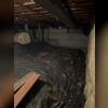 This crawl space was very dark and dreary, with a "heavy", musty odor.