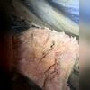 Rodent were nesting in the fallen fiberglass insulation and there were many droppings all over.