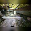 Exposed dirt floors and damaged insulation highlight the need for a full encapsulation system.