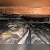 In this photo, you can see a very dirty vapor barrier, which is strong evidence of water intrusion.