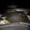 This crawl space was wet, musty, and in very high need of a tune-up.