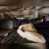 This is a big sign of high humidity in a crawl space!
