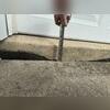 Driveways are supposed to be level or close to level with the concrete slab under the garage door. This driveway needs to be lifted to ensure easy and smooth driving in and out of the garage.