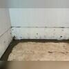 WaterGuard is installed along the perimeter of the basement floor and covered in fresh concrete to provide a seamless finished look. The WaterGuard Port is left visible to provide access to the system when needed.