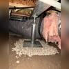 After attaching these steel columns to the base and attaching to the supplemental beam, the SmartJack system is ready to adjust and lift, raising the sloping crawl space beams above back to level.
