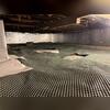 This photo was taken during installation. You can see the base for one of our steel posts cut out in the plastic flooring. By this point we had created all the bases for our SmartJacks, wrapped the floor with our plastic drainage matting, and wrapped the walls with our SilverGlo insulation panels.