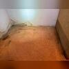 In this photo, you can see paint peeling up, and wetness around the edges of the carpet, due to water leaking in through the foundation walls.