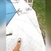 Cracked and sinking concrete next to pool deck in Wiley Ford, WV