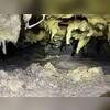 Hanging insulation inside of a crawl space indicates water intrusion and damage, and creates a very unhealthy air quality that is detrimental to the health of everyone inside of the home.