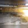 The crawl space had an old, wet vapor barrier that was no longer functioning properly. This allowed moisture to build up, contributing to poor conditions and highlighting the need for a complete encapsulation system.