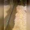 Our WaterGuard system then gets concreted over to create a discreet look.