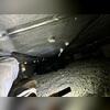 Persistent moisture accumulation within the crawl space created elevated humidity levels and a musty odor that migrated into the home's living areas.