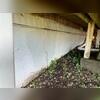 A crack is shown in the foundation wall as well as some discoloration