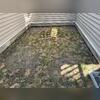 As you can see, there were so many digger bees throughout this customer's yard.