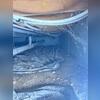 The crawl space was musty and dirty with no proper insulation and a loose, ineffective vapor barrier. These conditions allowed moisture and air to circulate freely, contributing to poor air quality and energy loss in the home.