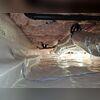 After permanently sealing our liner, this crawl space will stay dry for years to come.