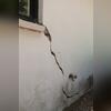 An extremely worrisome crack.