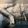 Excess moisture in the crawl space allowed mold to thrive on organic materials in the insulation and floor joists.