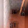 We had to install several piers on the inside of the home.