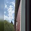 Before our crew installed gutters