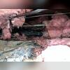 Before the encapsulation the crawl space was wet, filled with debris and fallen fiberglass insulation and standing water.