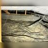 This dirty, damp crawl space needed a new liner and a waterproofing system.