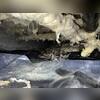Moisture caused the fiberglass insulation to fall from the crawl space ceiling