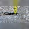 This gap is nearly nine Inches deep! Woods will fill that with NexusPro before something falls into it and cannot be retrieved.