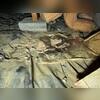 Rodents in the crawl space creates a toxic air quality both beneath of, and inside of homes.