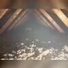Our Tru-Soft Cellulose Insulation will protect the home from any unwanted air coming into the house, as well as prevent conditioned air from escaping to the exterior.