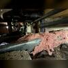 Over the years the fiberglass has fallen from the crawl space ceiling