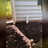 With the discharge line in place and backfilled, water is efficiently removed from the property before it can cause damage.