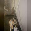 TripleSafe sump pump installed and protecting the basement from water intrusion. With primary, secondary, and backup pumps, it ensures complete flood protection.