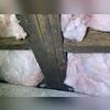 The humidity in this crawl space was so severe that a large amount of mold had grown.