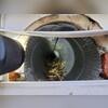 ...were loaded with nesting debris from the starlings. A bird's nest in a dryer vent is a severe fire hazard. Starlings use dry twigs, grass, and feathers that ignite easily. When combined with highly flammable lint and intense dryer heat, the blocked airflow forces the machine to overheat. This...
