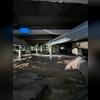 This system covers a large span of the floor and stabilized it from further settlement.