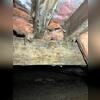 Moisture issues in this crawl space has allowed mold to start to grow on the wood floor joists. If the moisture is not addressed, mold will continue to grow and lead to the rotting of this wood and damage to the subfloor.