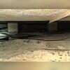 Even with a vapor barrier and sump pump, there was still standing water in the crawl space. Our System Design Specialist know exactly what to look for to solve your crawl space problems!