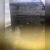 As soon as you enter this crawl space, you step into a puddle of water! As water sits and lingers, it can lead to rot, mold growth, or even structural problems, which could extend to every part of Mathew's home.