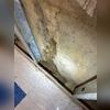 Water was consistently seeping into the walls of this basement.